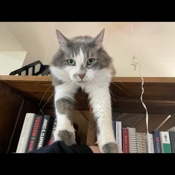 Meet your Posher, Megan - Picture 8 of 10